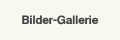 Bilder-Gallerie